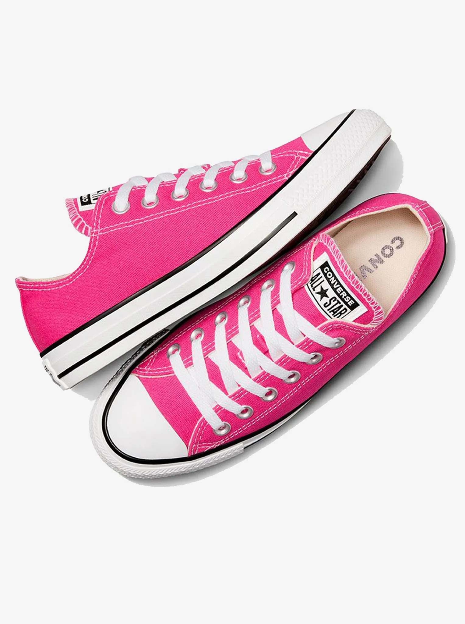 Chuck Taylor All Star Low Unisex Winter Base Breathable Lining