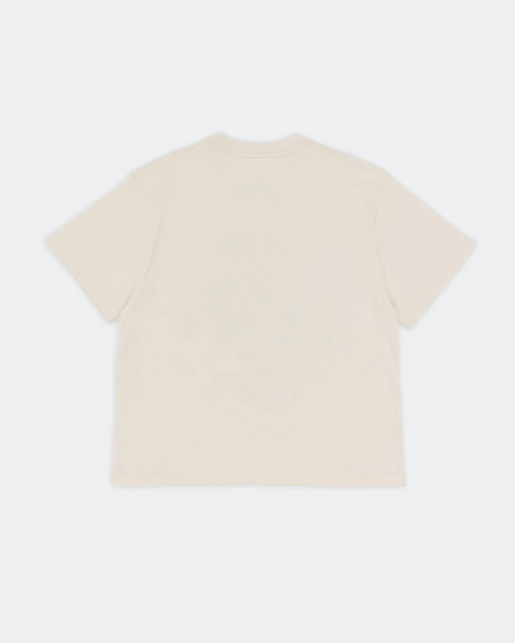 Eco Friendly Dyes Grateful Tee SS - Forage Brain